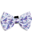 Bow Tie - Dream Butterfly