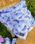 Bandana - Dream Butterfly