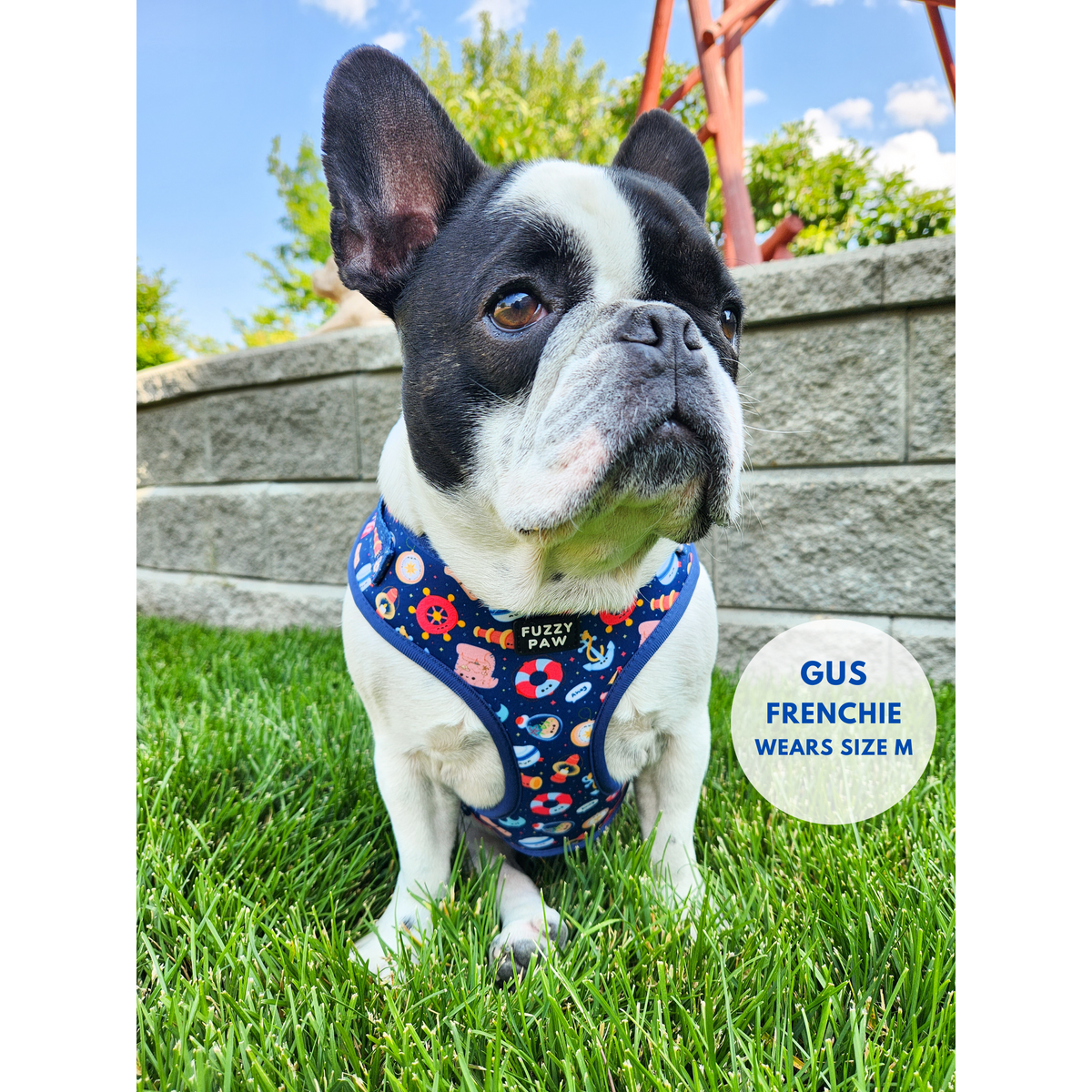 Walking Essentials Bundle - Paws Aboard