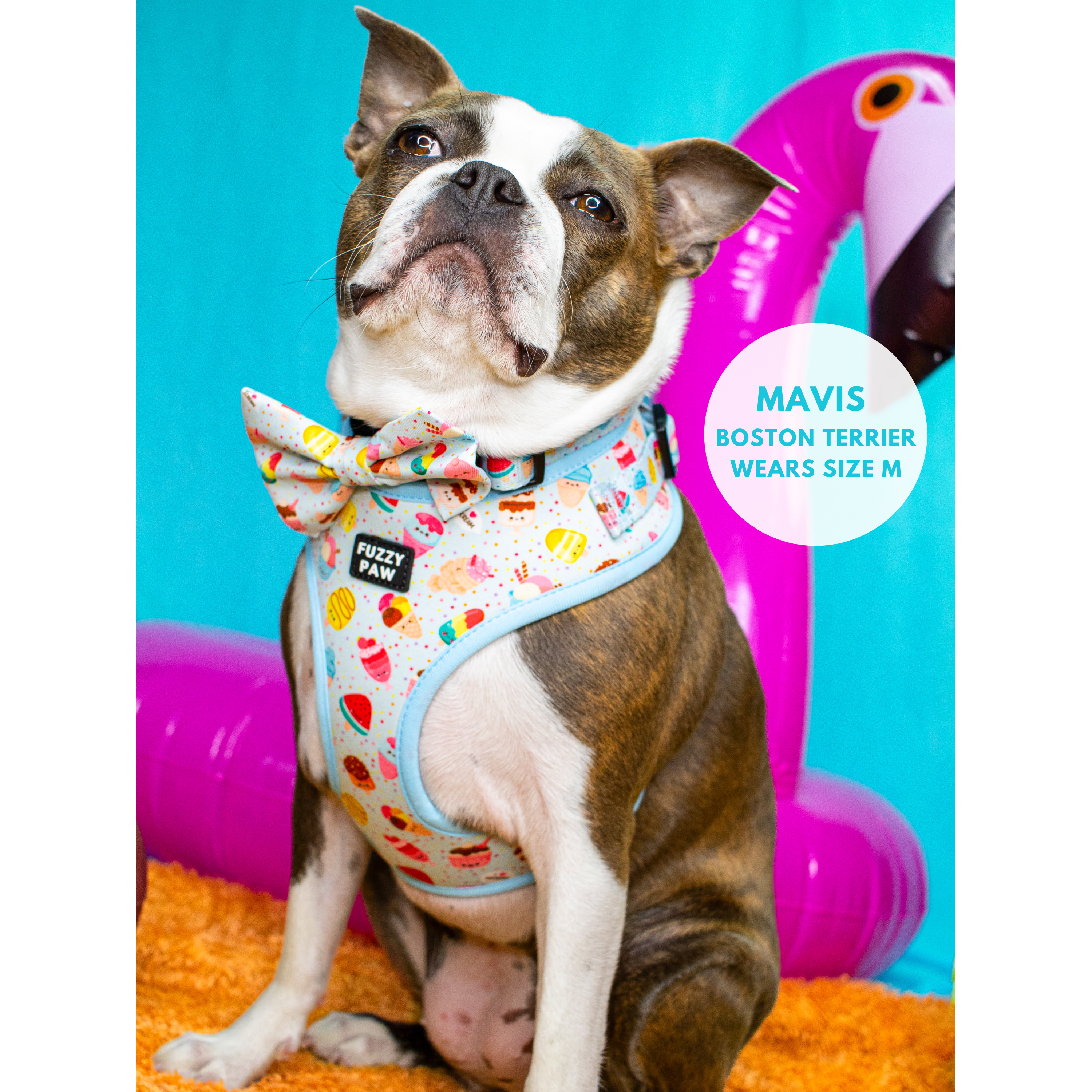 Designer Dog Harness for small dogs – Furry Pawz and Clawz