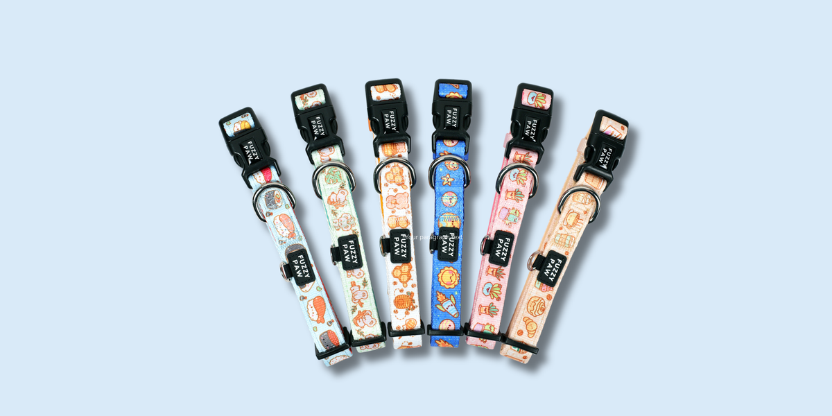 Collection Image
