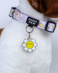 Pet ID Tag - Daisy