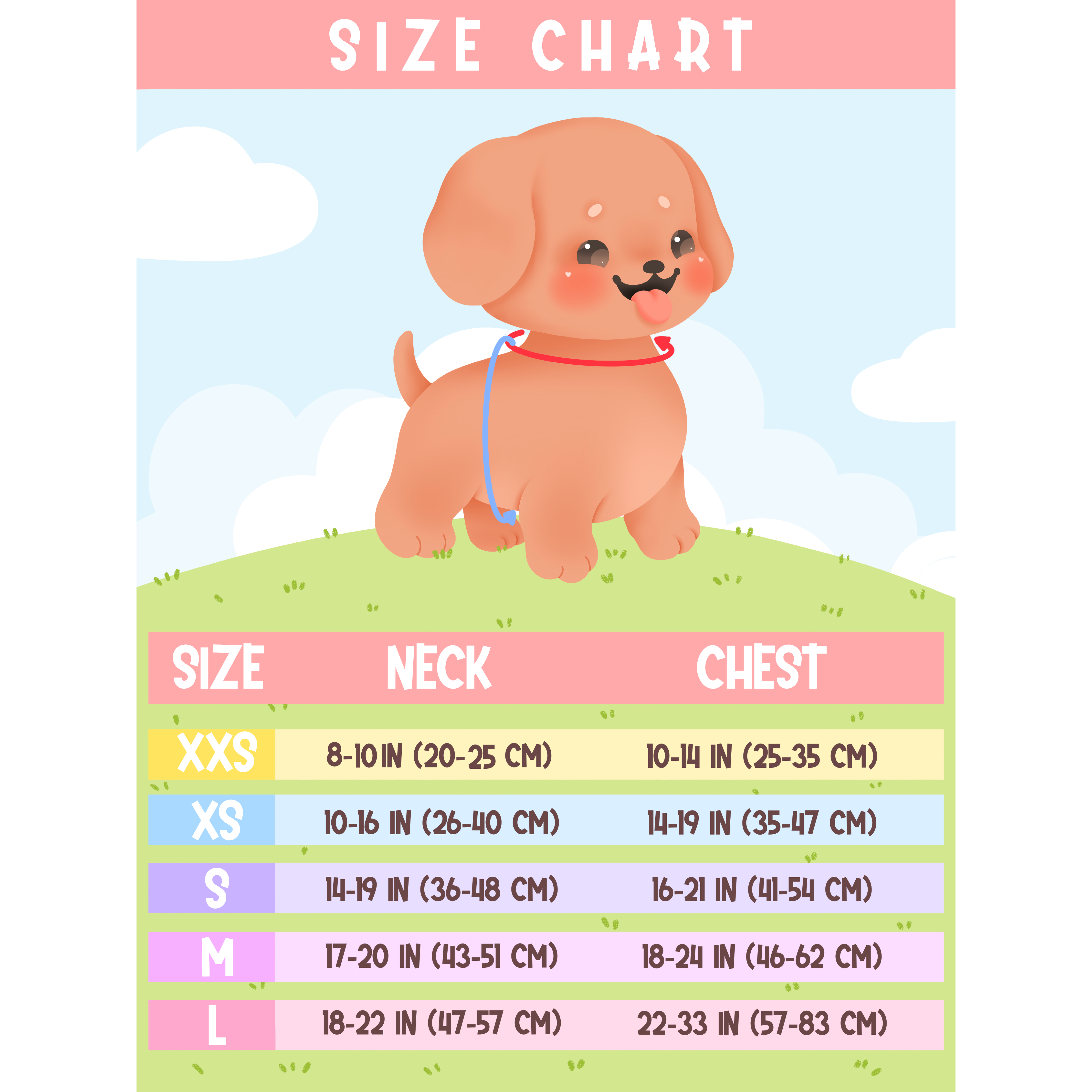Size Guide – Call The Pawparazzi