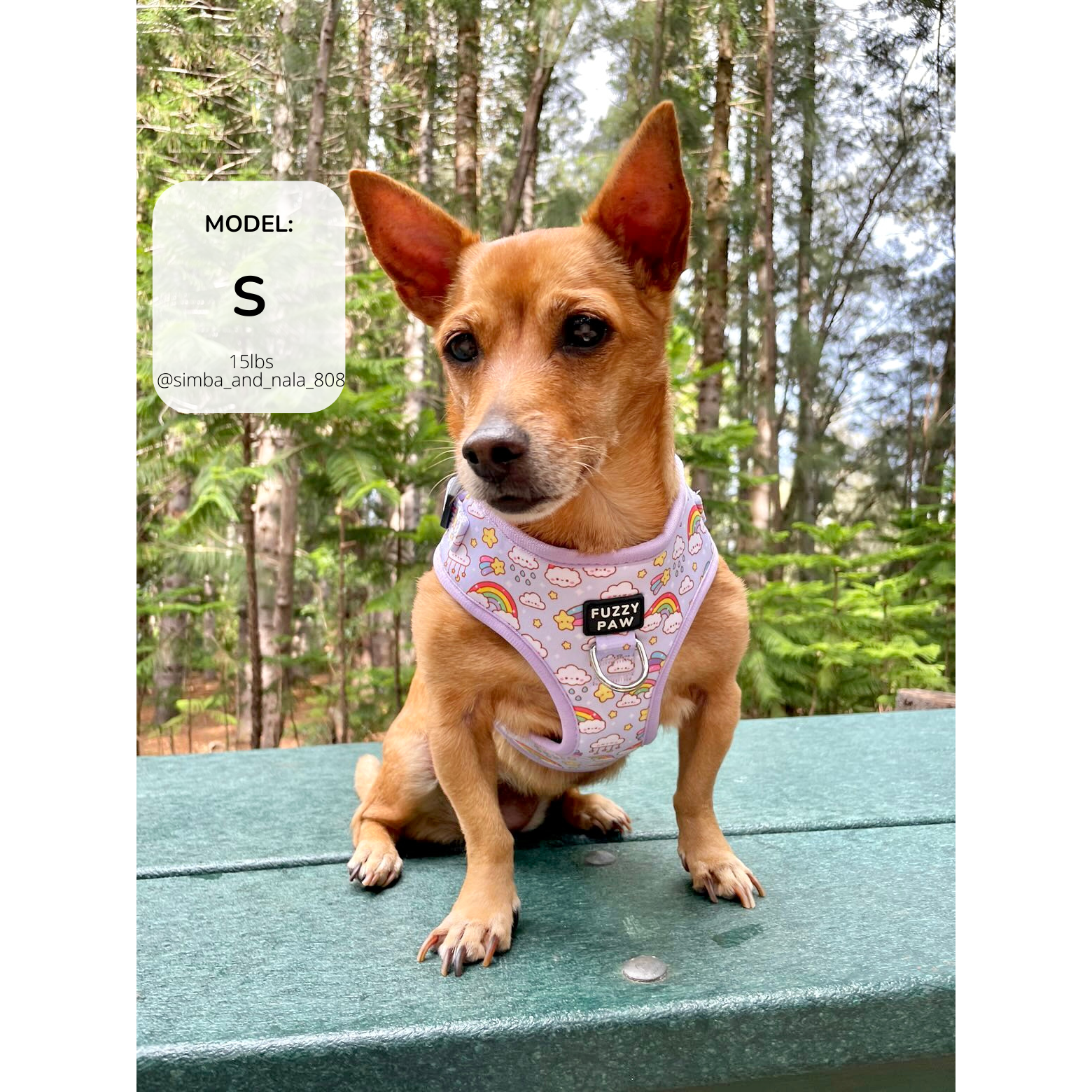 Dog top harness fuzzyard